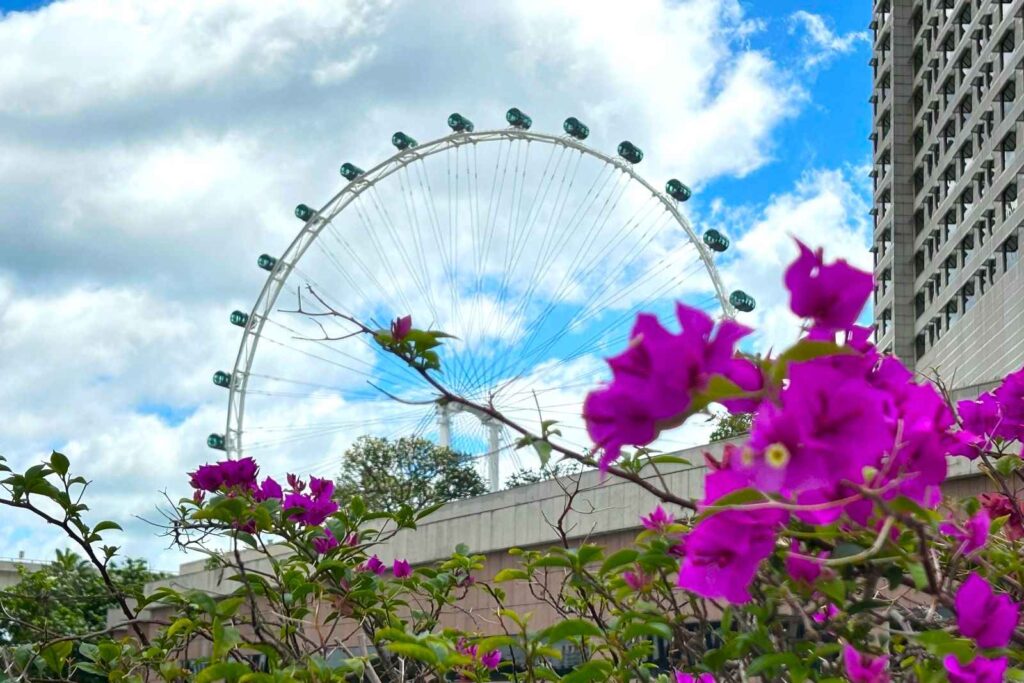 Singapore Flyer