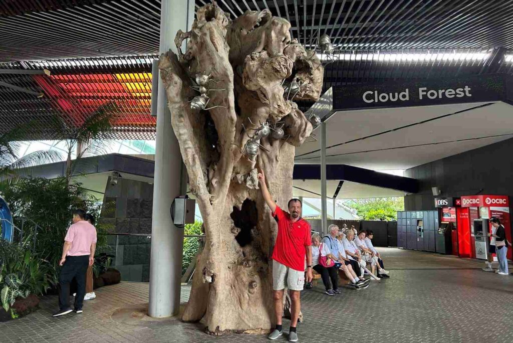 Ants on Trees sculptures in Gardens by the Bay