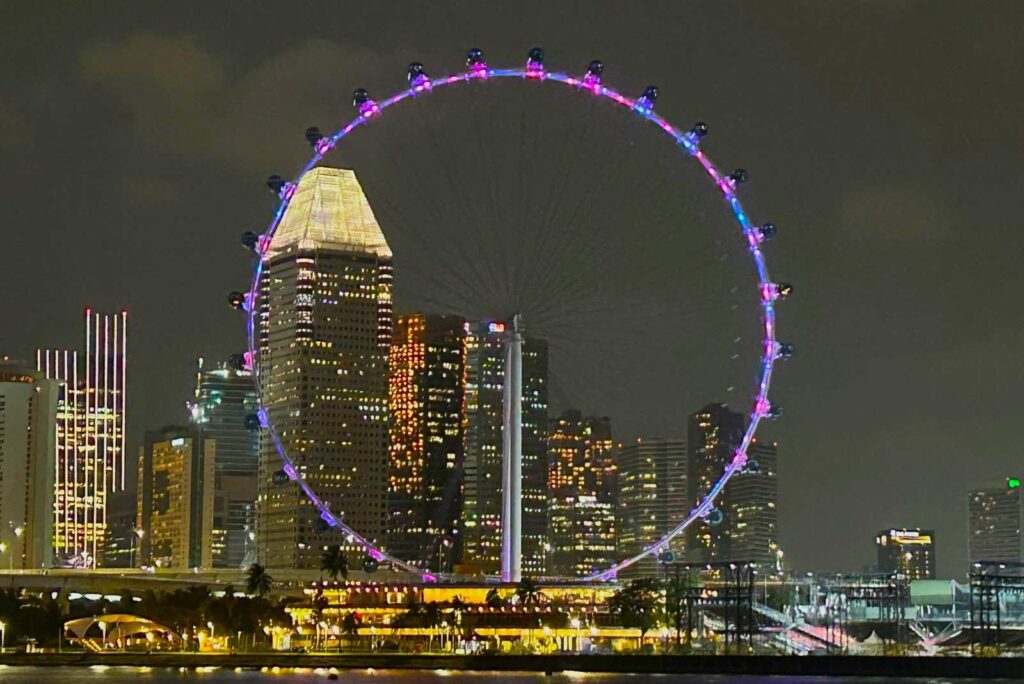 Singapore Flyer at Night