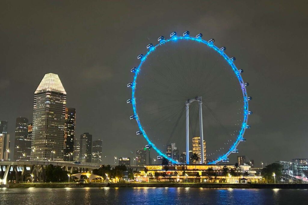 Singapore Flyer at Night