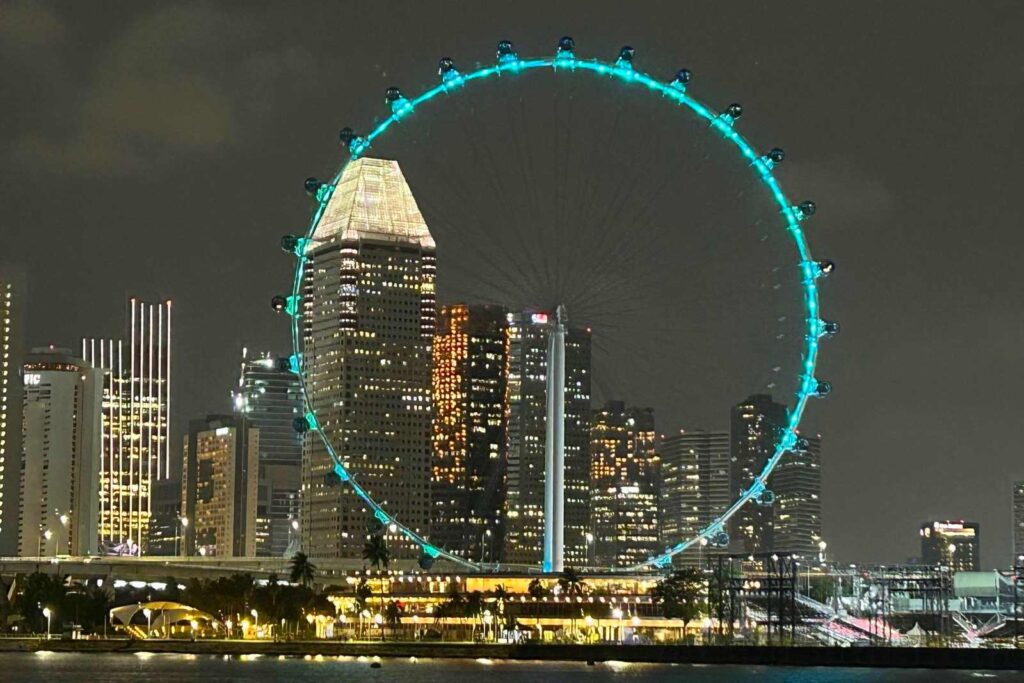 Singapore Flyer at Night