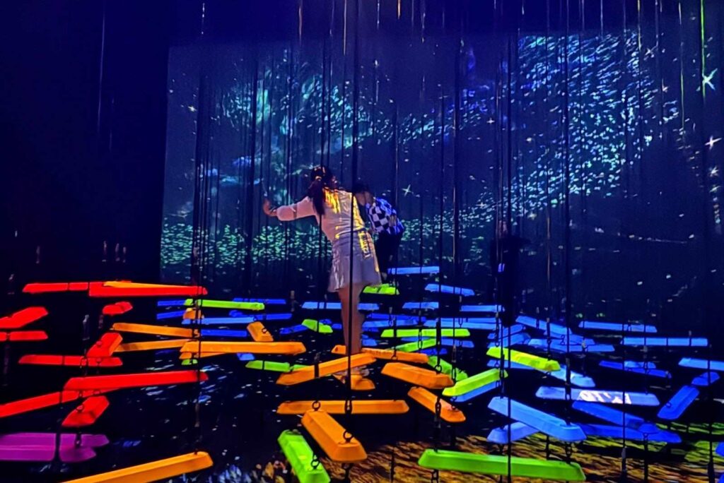 Aerial Climbing through a Flock of Coloured Birds in ArtScience Museum Singapore