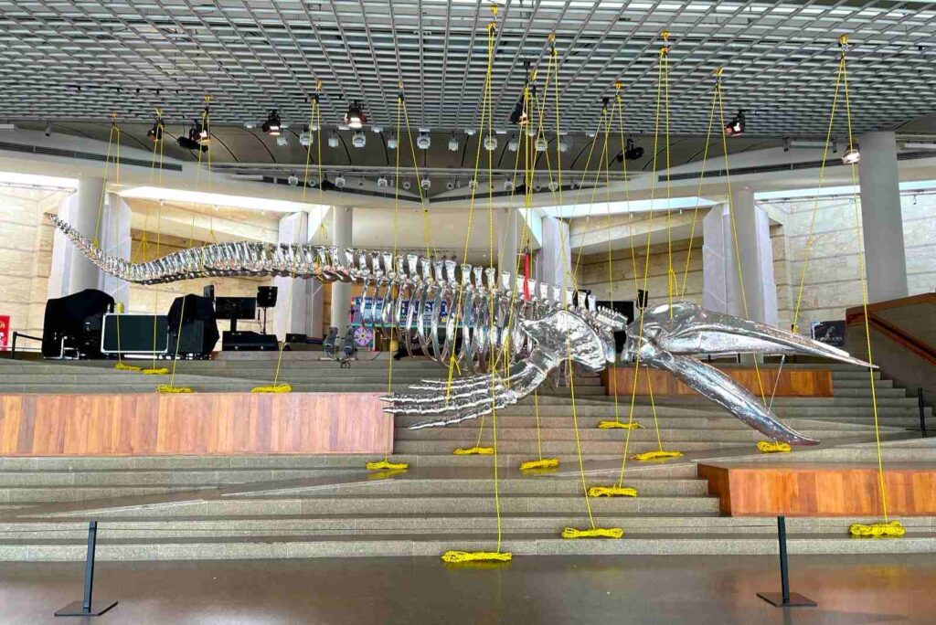 Free Exhibition in Esplanade - Theatres on the Bay