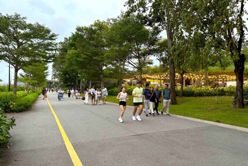 Joggers + Pedestrians + Cyclists along Gardens by the Bay
